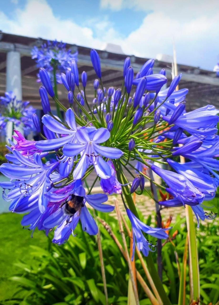 Blue Marine Apartment 포쟐로 외부 사진